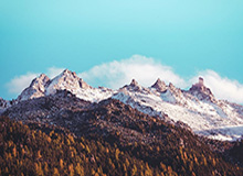 Jiuyou-生涯无冠仍在刺痛纳什 跑轰大师不抓进攻抓防守